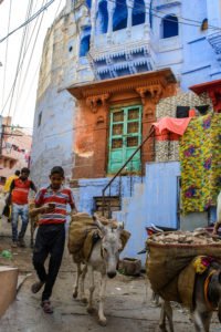 where to go in india