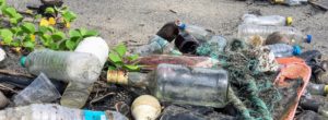 los angeles plastic beach clean up