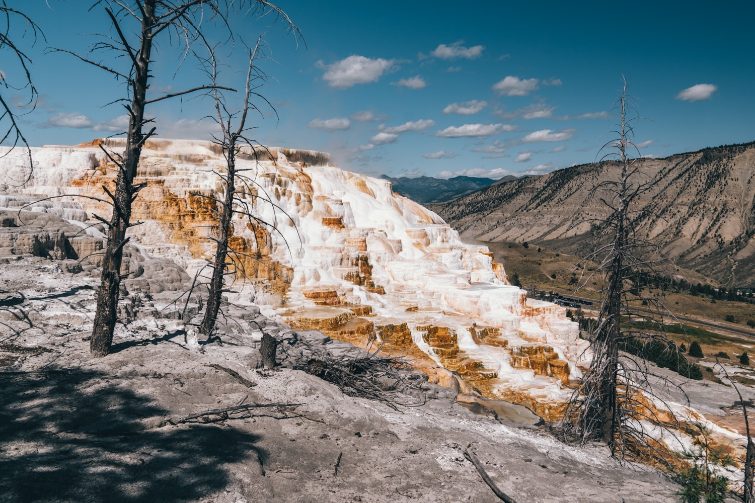 Yellowstone National Park guide