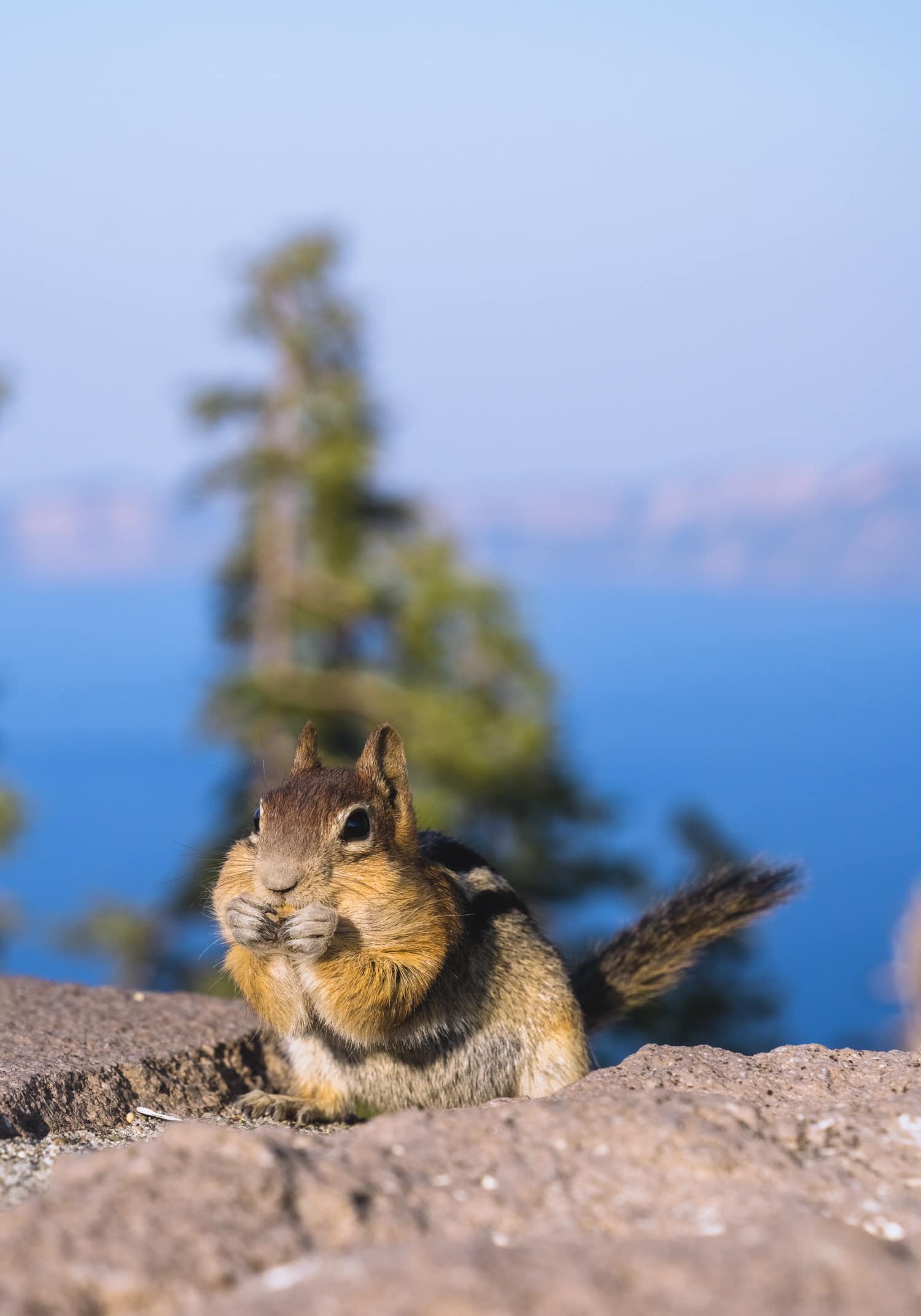 how to visit crater lake national park