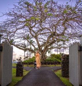 best stops on the road to hana