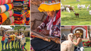 A collage of Colorful textiles, a traditional weaver, girls cheersing with mimosas, llamas roaming in the field, and Lesley with a white llama