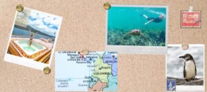 Cork board with Galapagos photos