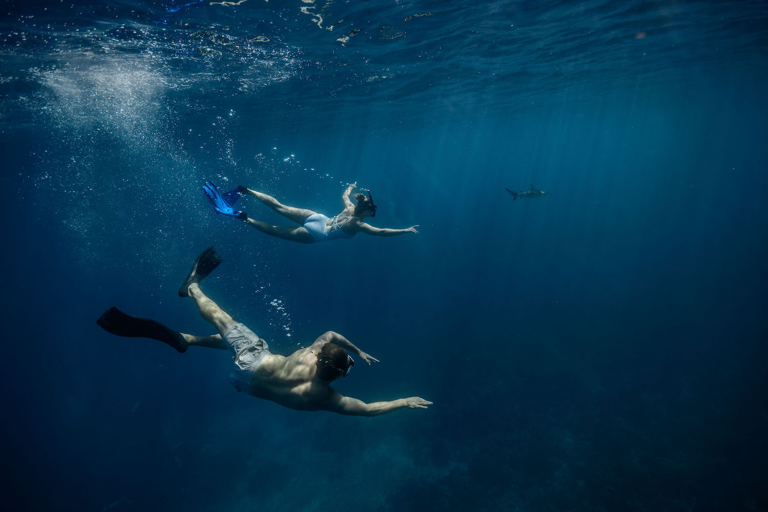 Bora Bora, French Polynesia diving