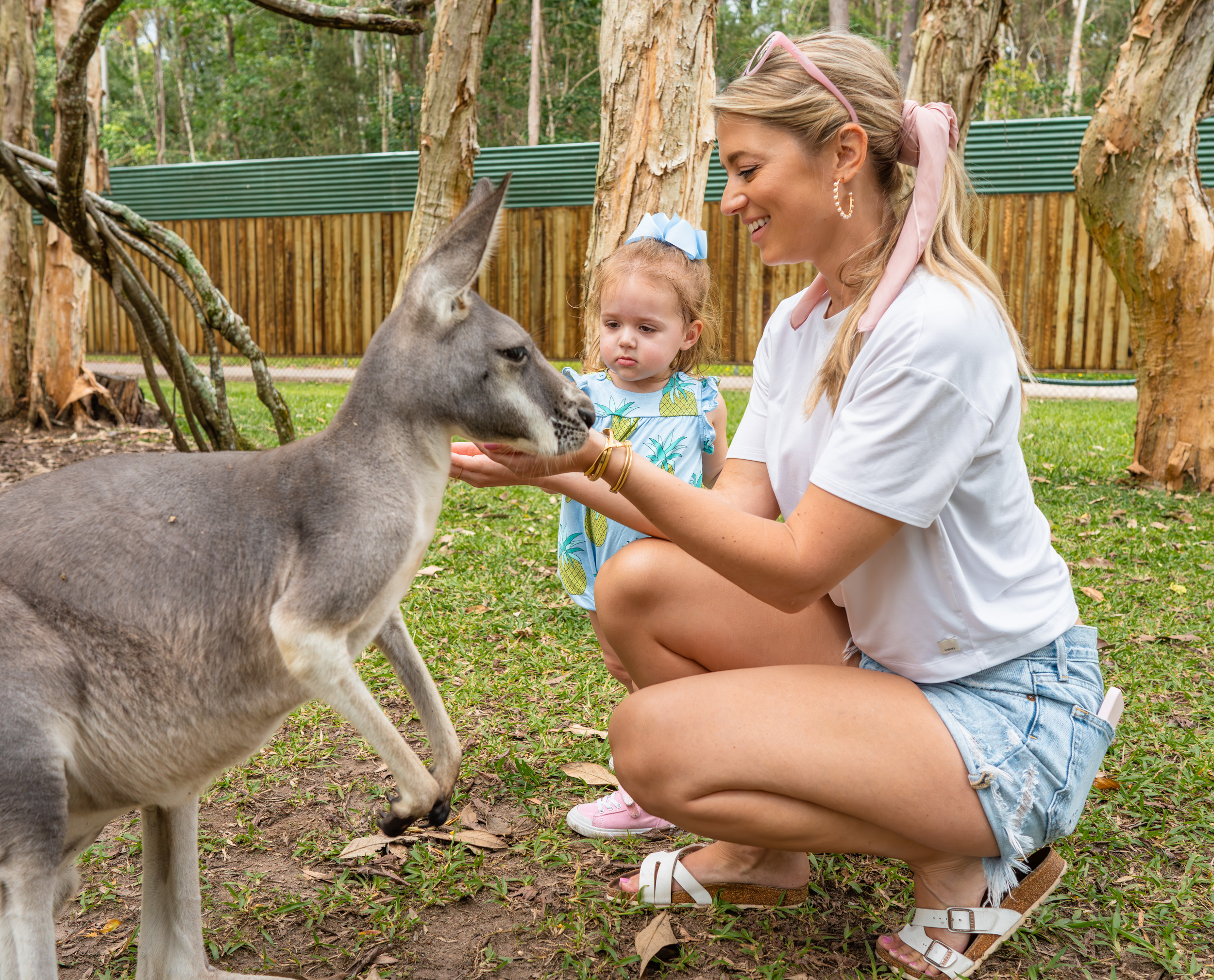 Australia  Zoo - Australia Travel Guide