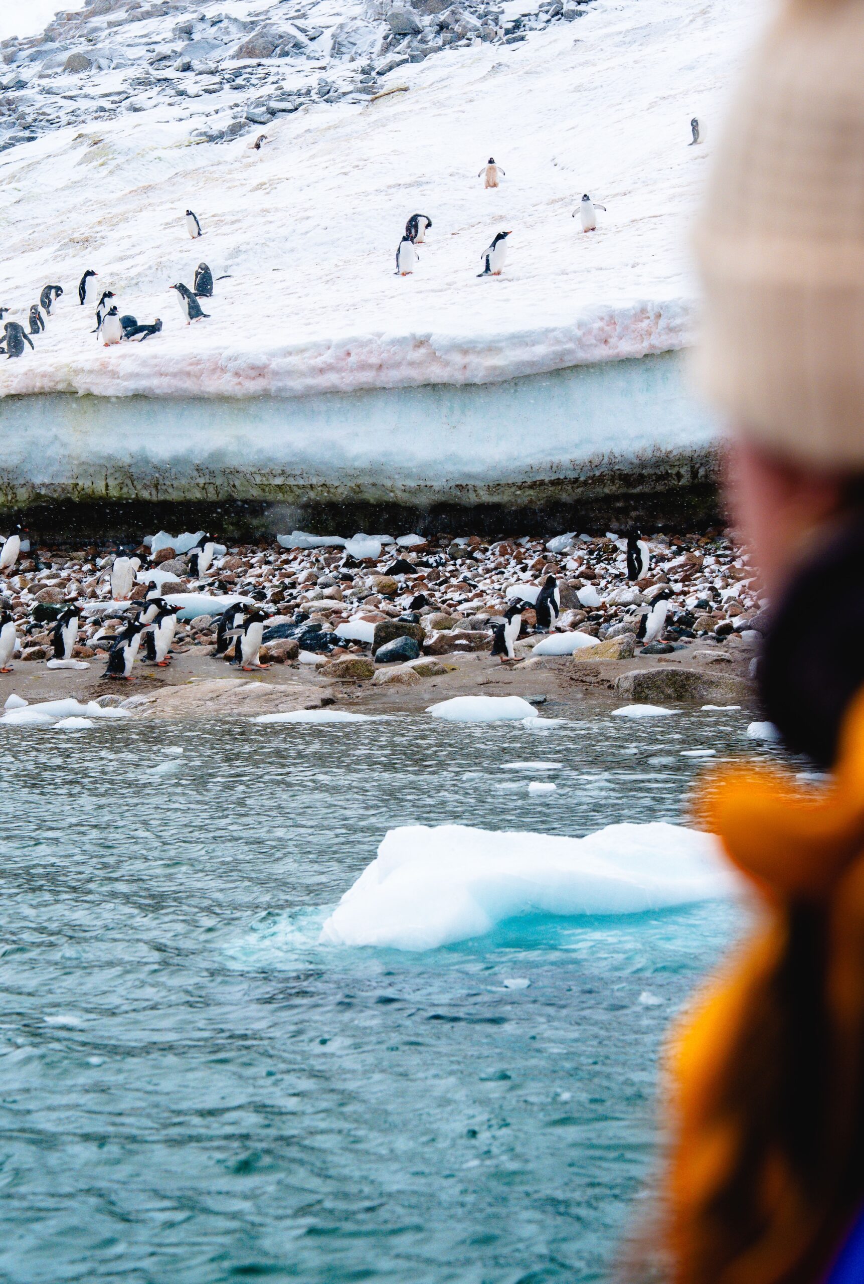 Antarctica_LimitLes_Edits-665 Antarctica_LimitLes_Edits-665